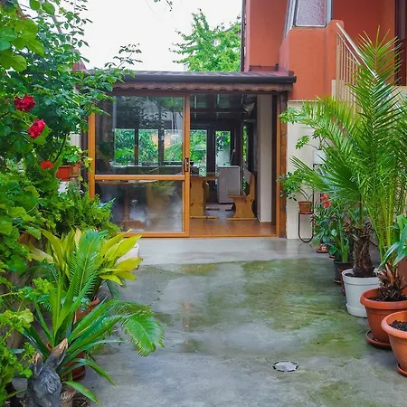 Guest house Galema 2*