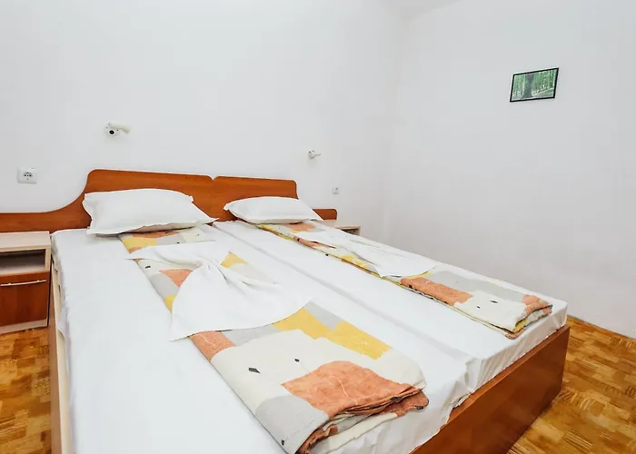 Guest house Galema 2*